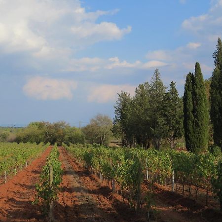 Bed And Breakfast La Grande Lauzade Le Luc Esterno foto